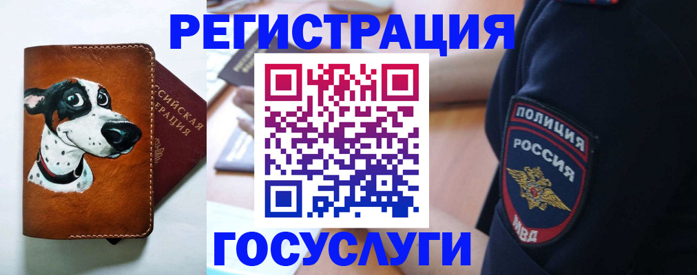 временная регистрация в квартире в Камне-на-Оби